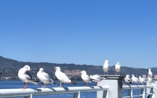 滇池游玩攻略介绍，滇池游玩攻略