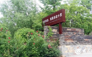 陪陵游玩攻略，陪陵游玩攻略大全