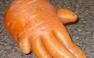 萝卜视频恶搞，萝卜视频恶搞版下载