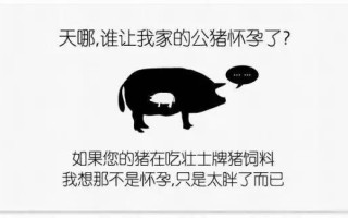 瘦身沙雕广告文案，瘦身沙雕广告文案怎么写