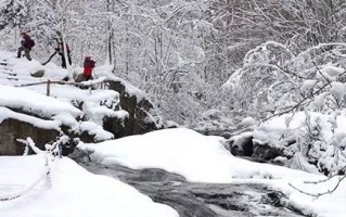 林海雪原情景短剧，林海雪原情景短剧在线观看