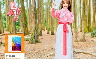 过年衣服穿搭汉服pdd，过年穿的汉服