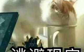 大脑开发恶搞视频，开发大脑的视频