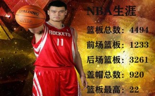 姚明在nba总篮板数，姚明在nba总篮板数多少