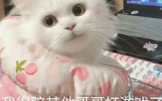 手巧沙雕文案图片，手巧沙雕文案图片大全