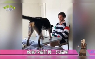 沙雕恐怖视频文案，沙雕恐怖视频文案短句