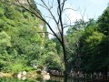 冬天蓟县游玩攻略，冬天蓟县游玩攻略大全
