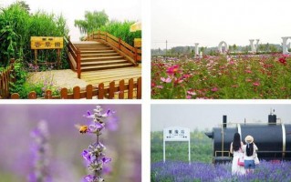 莱芜夏季游玩攻略，莱芜夏季游玩攻略大全