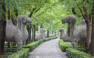 明孝陵路线游玩攻略，明孝陵游玩攻略