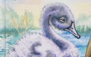 丑小鸭简单英语短剧本，丑小鸭英语剧本