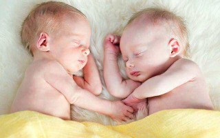 双胞胎的形成，双胞胎的形成原理